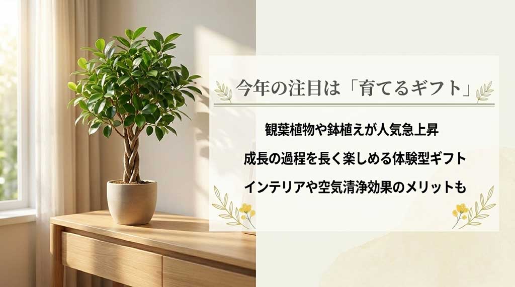 鉢植えや観葉植物が人気急上昇している理由として、成長を楽しめる体験やインテリア効果を挙げたトレンド解説画像