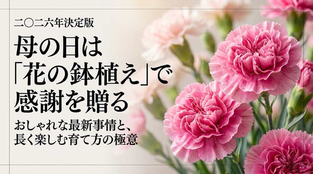 2026年母の日の花の鉢植えギフトに関する最新トレンドと育て方の解説スライド。背景に花のつぼみの画像