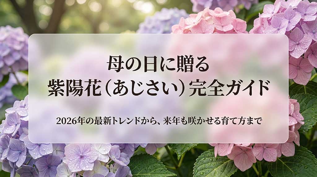 2026年の母の日に贈る紫陽花の最新トレンドと育て方を解説するガイドの表紙画像